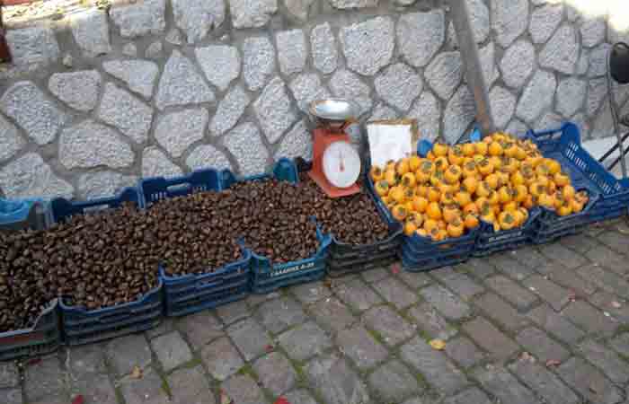image05