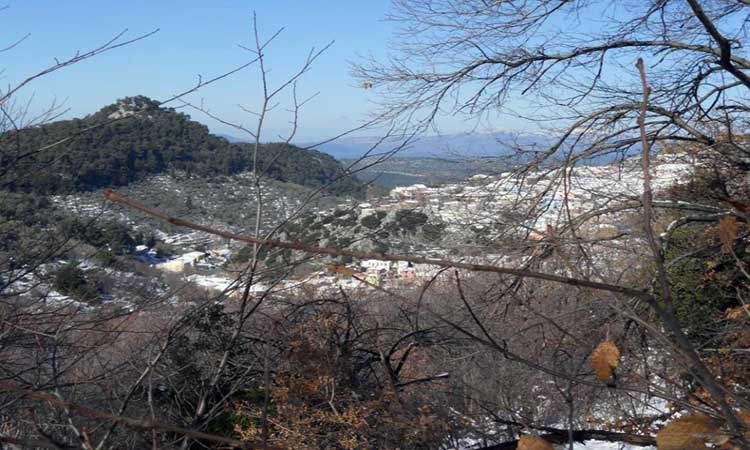 image11