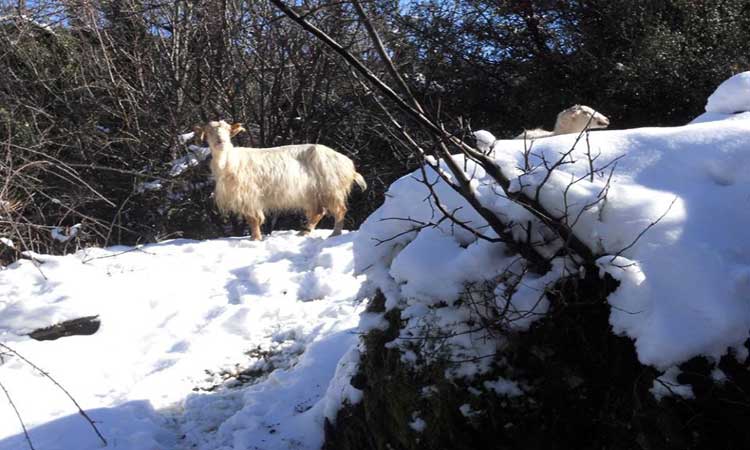 image07