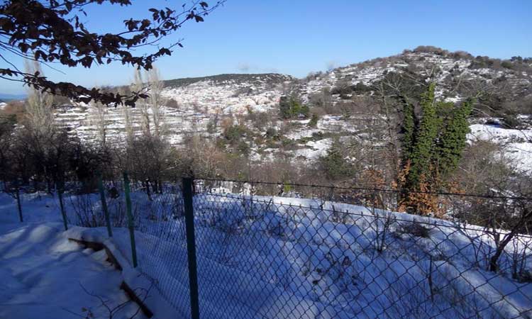 image09