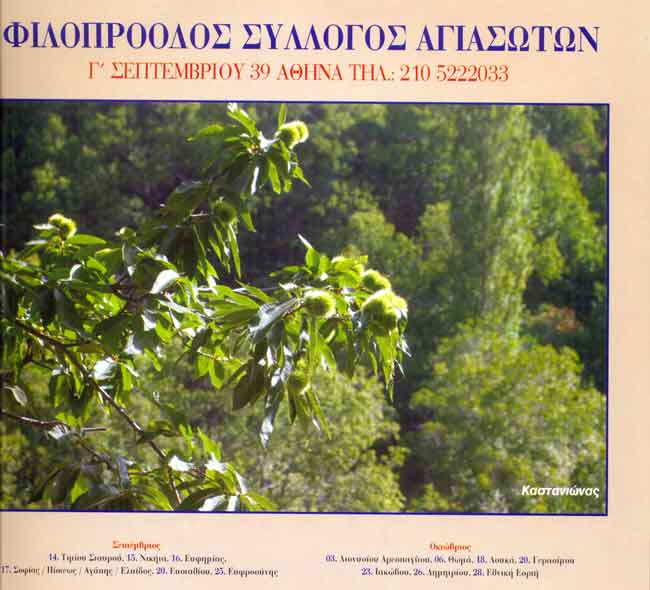 image07