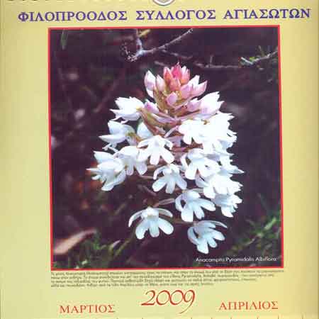 image04