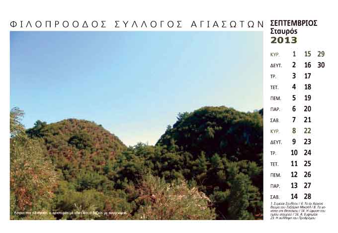 image11