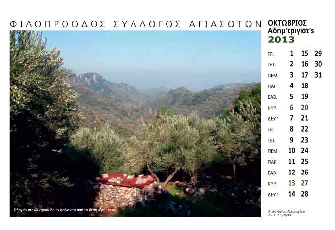 image12